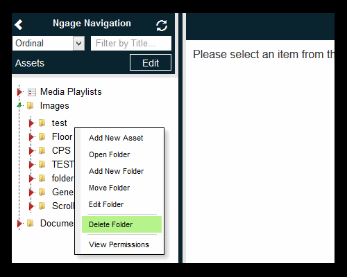 Assets Delete Folder