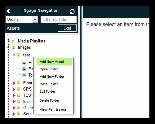 Assets Add New Folder