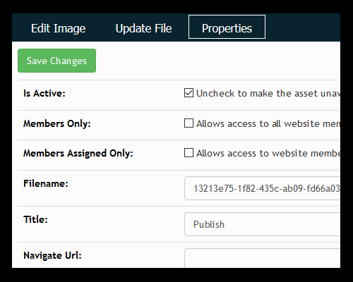 Assets Image Properties
